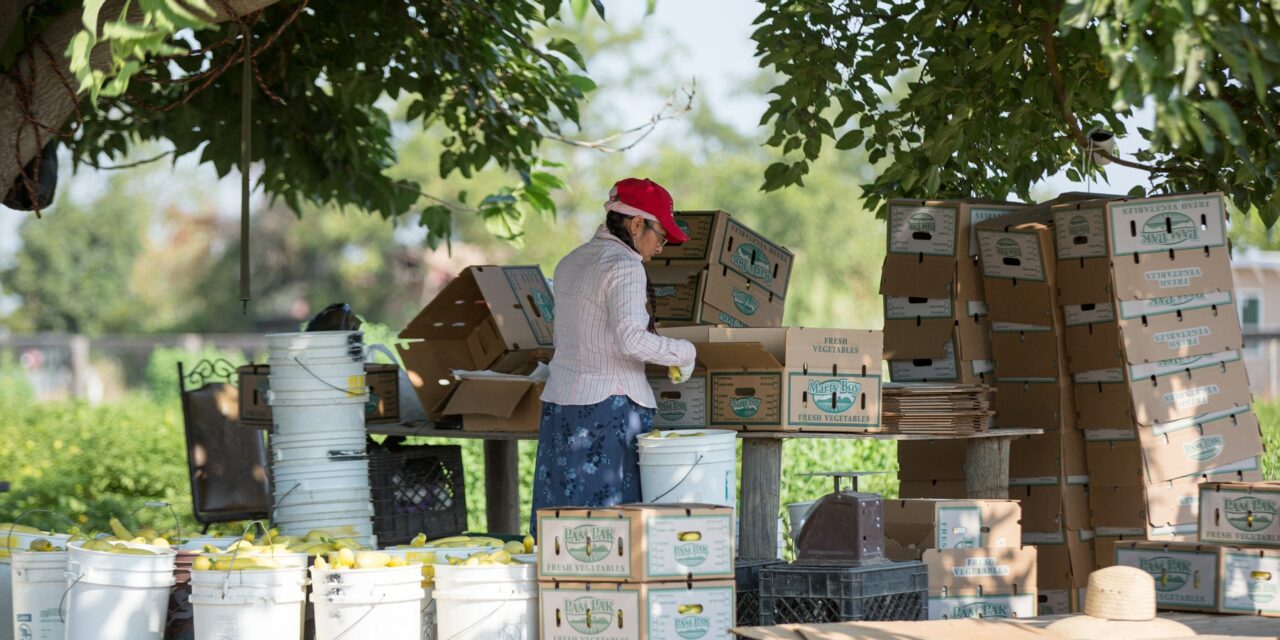 boxing-produce