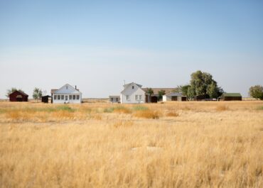 houses-in-field2