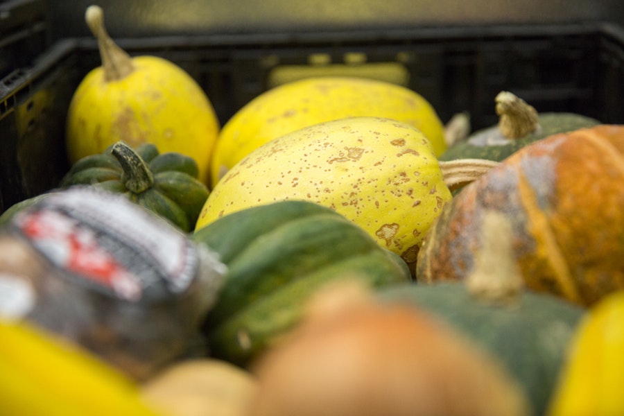 produce-gourds