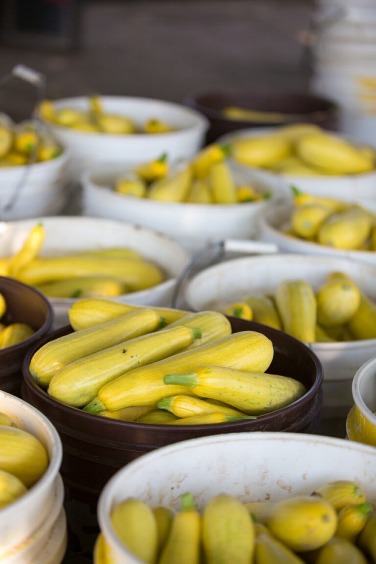 produce-in-buckets