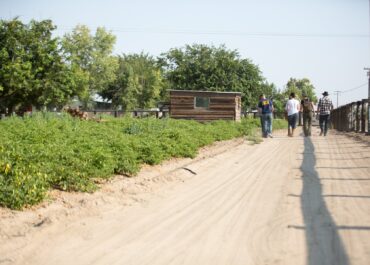 walk-along-field